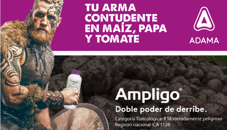 ARTICULO