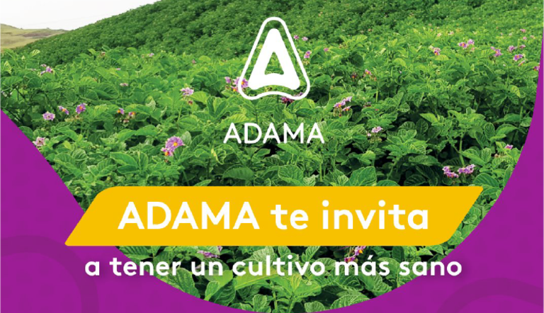 ARTICULO