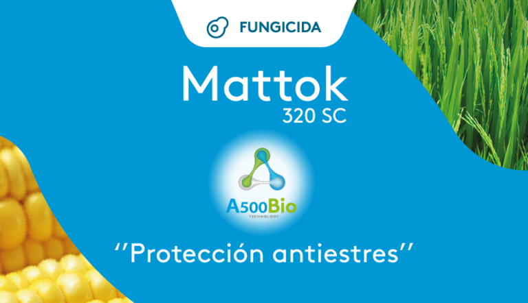 ARTICULO