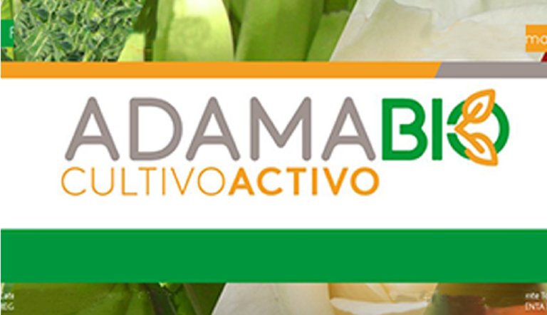 ARTICULO