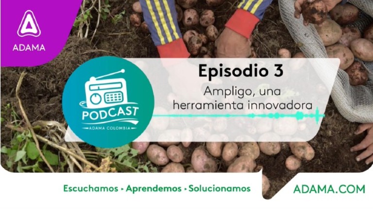 episodio 3  - podcast