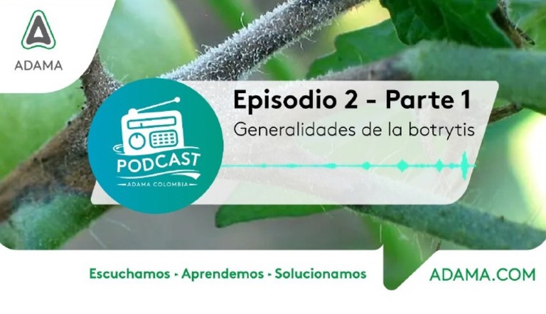podcast episodio 2 parte 1