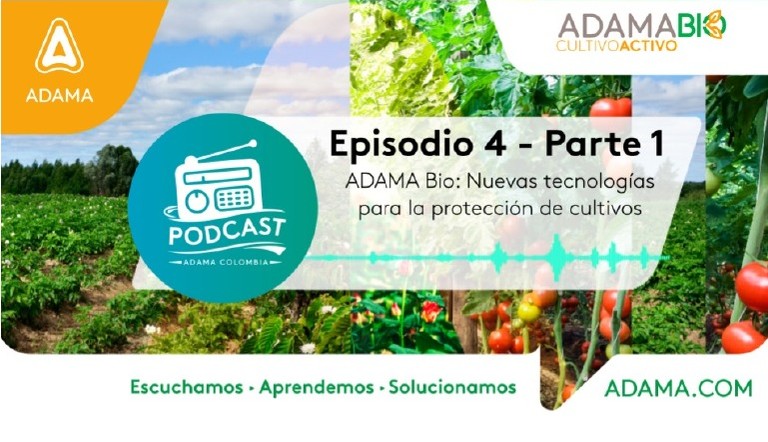 podcast episodio 4