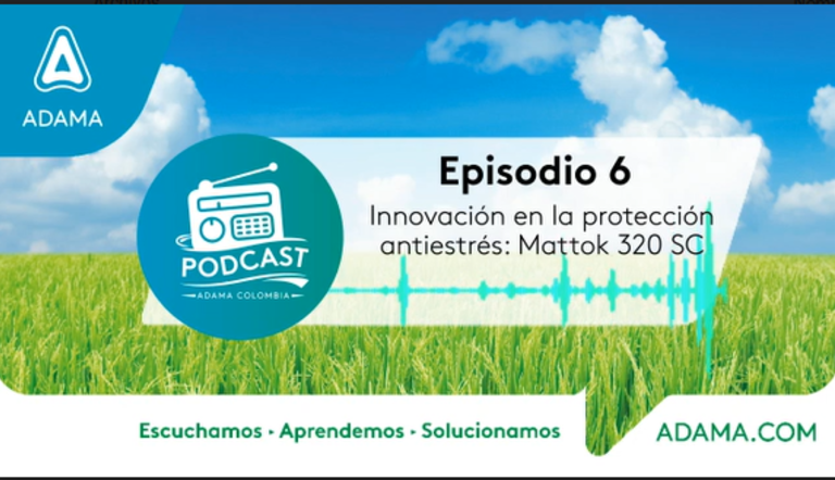 Episodio 6