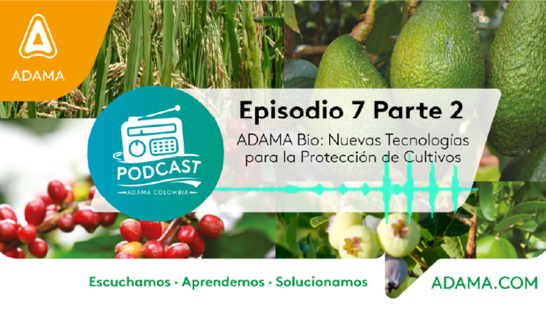 Episodio 7