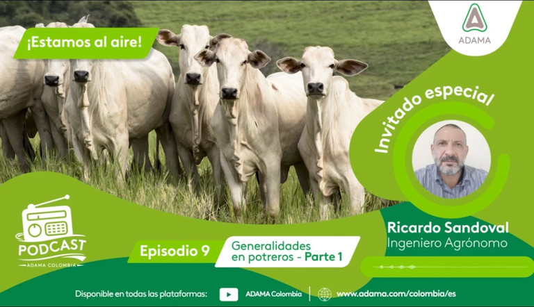 Episodio 9 - Parte 1: Generalidades Potreros