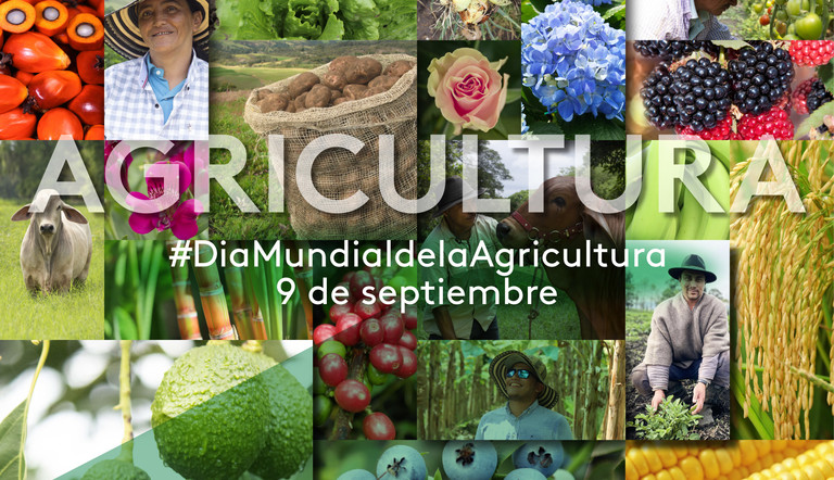 dia de la agricultura