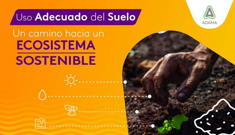 uso del suelo