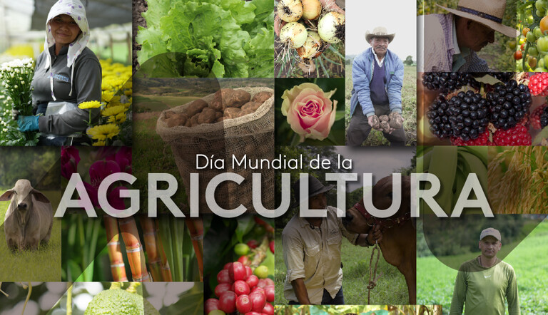 Día Mundial