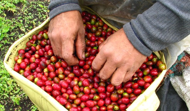 café