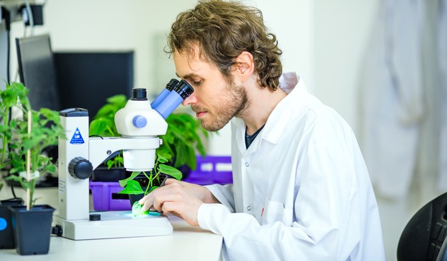 aprendemos con investigación