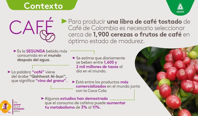 importancia del café