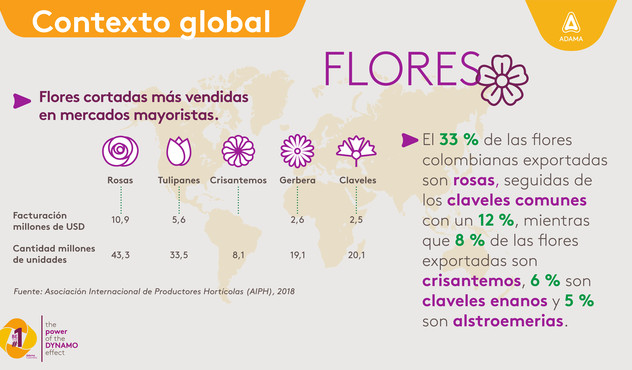 Agroexportaciones, flores, colombia Rosas crisantemos claveles exportacion