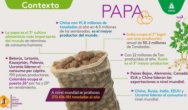 importancia de la papa