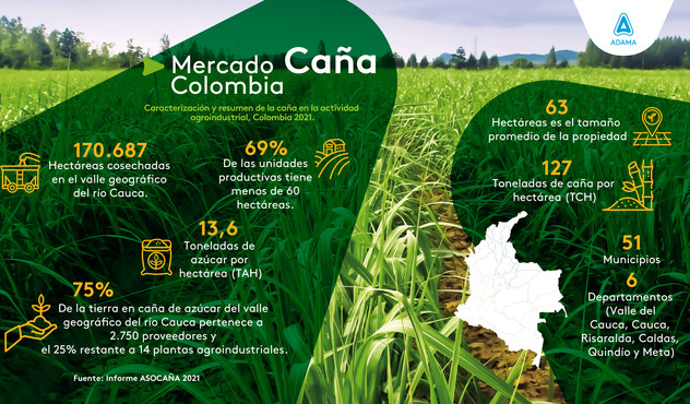 caña de azucar en colombia