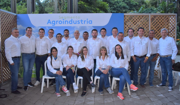 Arroz caña palma, productos agrícolas