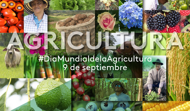 dia de la agricultura 