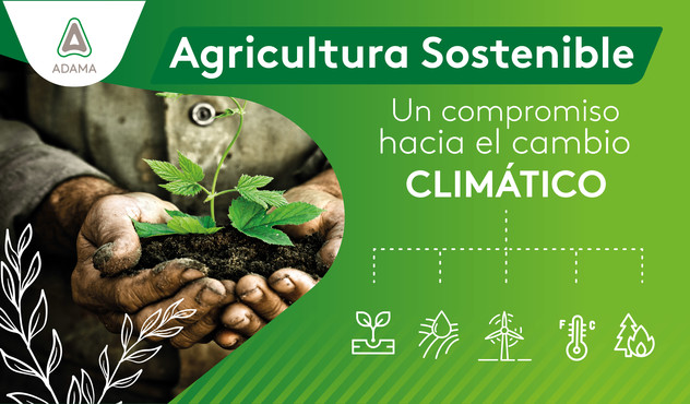Agricultura sostenible