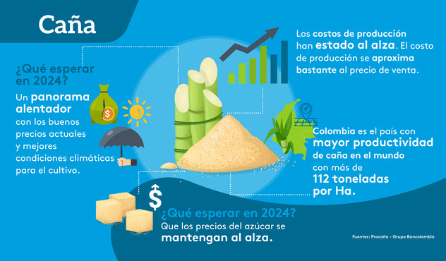 Caña en Colombia