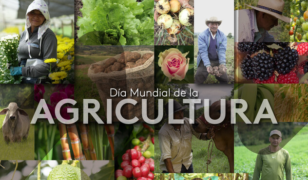 Día Mundial
