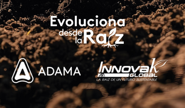 evoluciona desde la raiz