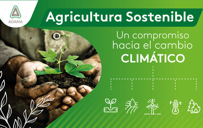 Agricultura sostenible