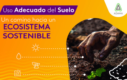 uso del suelo