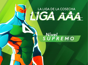 Nivel supremo
