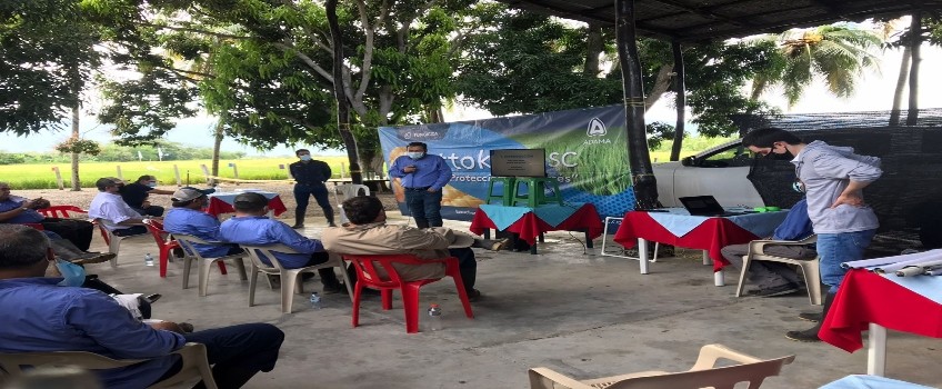 EVENTO4 COL.