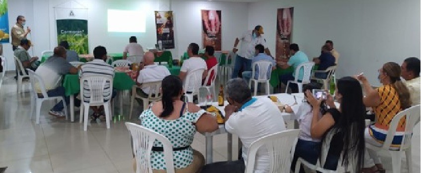 Evento 6 
