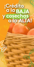 credito a la baja 
