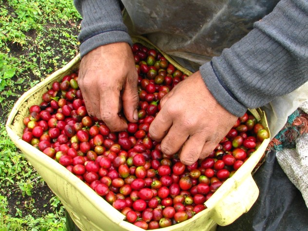 café