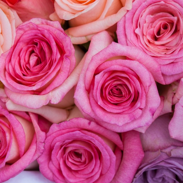 flores