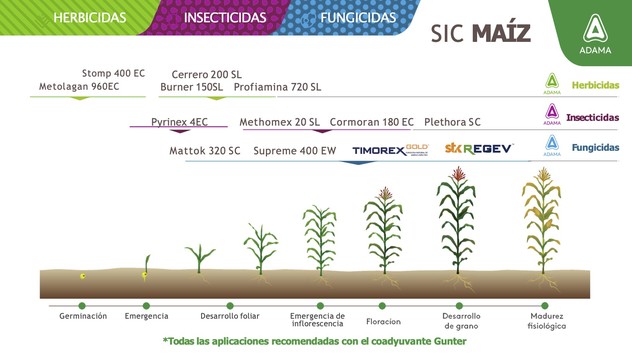 Fenogramas Cultivos Maiz