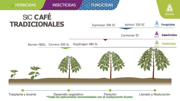 Fenogramas Cultivos cafe.jpg