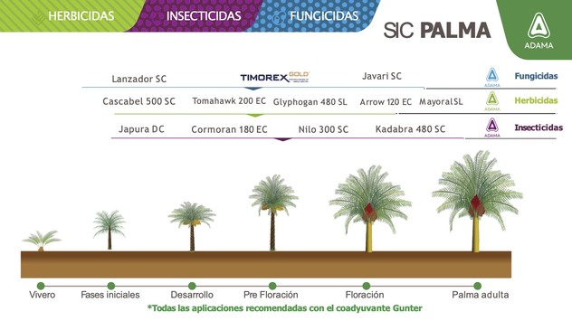 Fenogramas Cultivos palma.jpg
