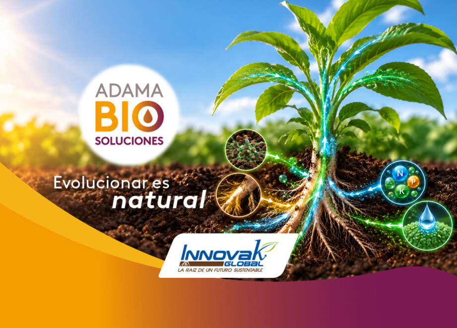 Innovak