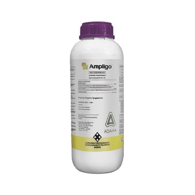 ampligo