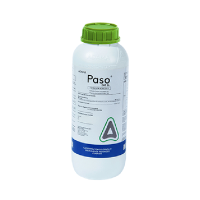 PASO FRASCO