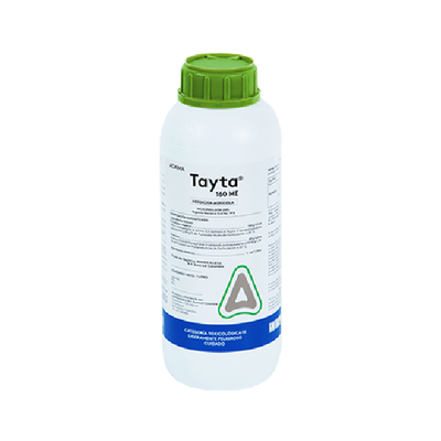 tayta frasco