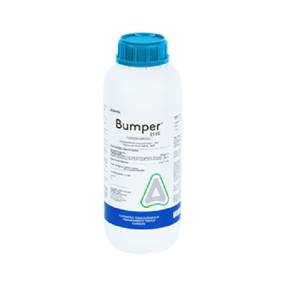 bumper