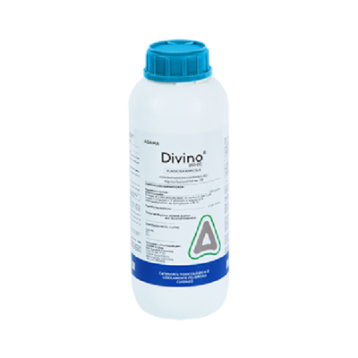 divino frasco