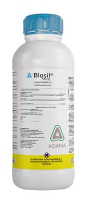 Blasil
