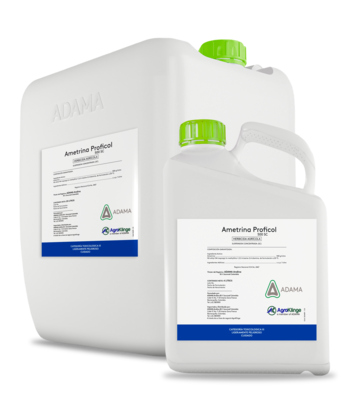 AMETRINA 500 SC bodegon