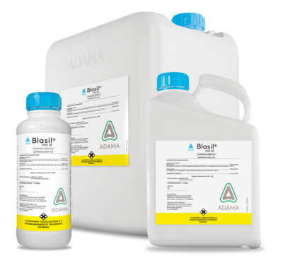 BLASIL bodegon
