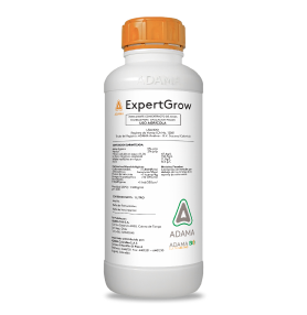Expert grow