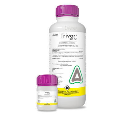 Trivor.png