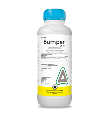 Bumper bodegón.png