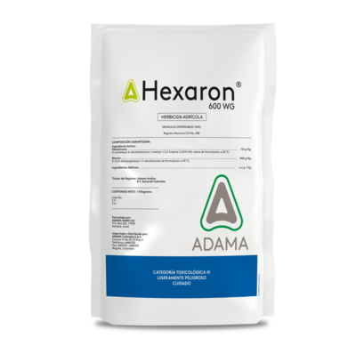 Hexaron bodegon.png