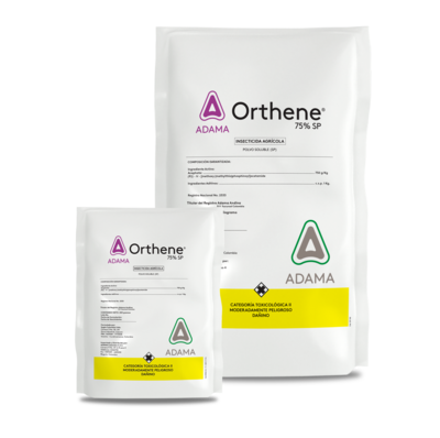 Orthene bodegon.png